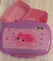 Peepers turle lunchbox
